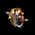 Remus Lupin och Nymphadora Tonks-Lupin affischer