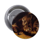 Renoir som sovar katten, knäppas knapp med nål