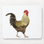 Resa upp-EN-Klotter-Doo Mousepad Musmattor