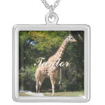 Reticulated giraffhalsband