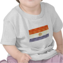 Retro Vintage Paraguay Flag Tee Shirt