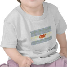 Retro Vintage Patagonia Flag Tee Shirts