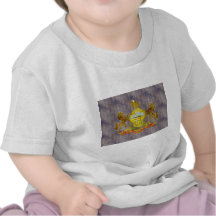 Retro Vintage Pennsylvania Flag Shirts