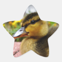 Reynolds Klistermärken