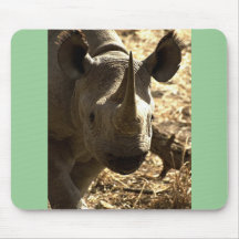 Rhinos huvud musmatta
