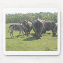 Rhinos & sebran Chowing besegrar Mus Matta