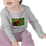 Rhode - röd höna för ö t shirts