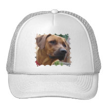 Rhodesian Ridgeback baseballhatt Mesh Kepsar