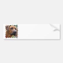 Rhodesian Ridgeback bildekal