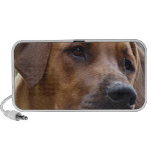 Rhodesian Ridgeback hundhögtalare