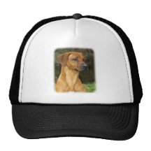 Rhodesian Ridgeback Keps