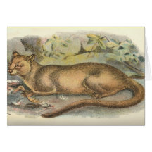 Richard Lydekker - Fossa Kort