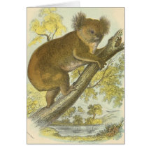 Richard Lydekker - Koala Hälsnings Kort