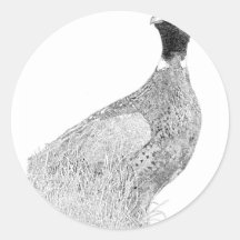 Ringneck Pheasant Klistermärken