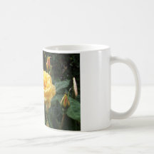 Ro med Raindrops Kaffe Koppar