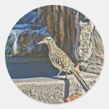 Roadrunnerklistermärke