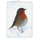 Robin Redbreast i snöjulkortet