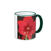 Röd Amaryllisblommamugg