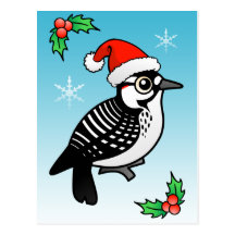 Röd-cockaded hackspett Santa Vykort