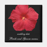 Röd hibiskus kylskåpmagneter