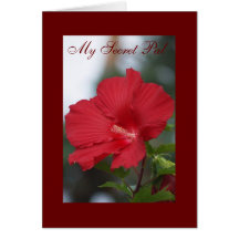 Röd hibiskus, min hemliga Pal Hälsningskort
