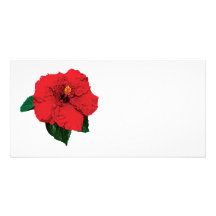 Röd hibiskus skräddarsydda fotokort