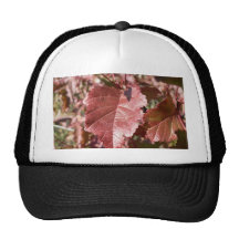 Röd höst löv baseball hat