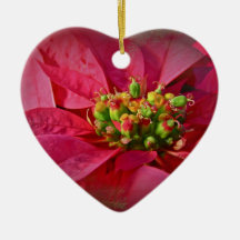 Röd julstjärna - jul julgranskulor