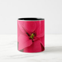 Röd julstjärna kaffe mugg