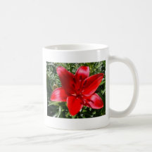 Röd lilja kaffe muggar
