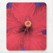 Röd mång- hibiskusblommamålning - mus matta