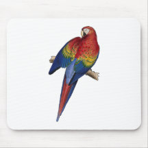 Röd och gul Macaw Mus Matta