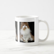 Röd och vitbi-färg för perser, kaffe koppar