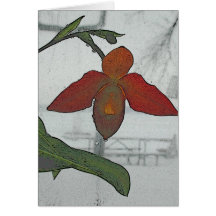 Röd Orchid Hälsnings Kort