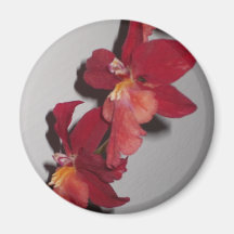 Röd Orchidmagnet Kylskåpmagneter