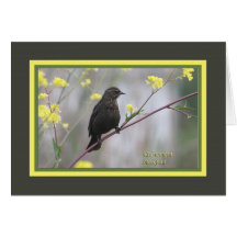 Röd-påskyndad blackbird_3489 hälsnings kort
