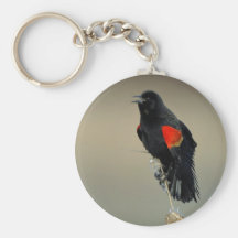 Röd-påskyndad Blackbird Nyckel Ring