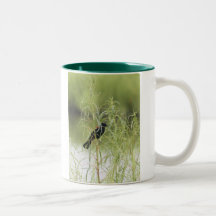 Röd-Påskyndad Blackbirdmugg
