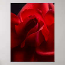 Röd ros - blommaro skräddarsy mallen posters