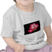 Röd ros t shirt