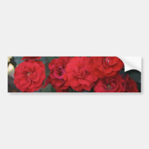 Röd rosblommar - blomsterfotografi bildekaler
