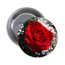 Röd rosvalentin dag klämmer fast nål