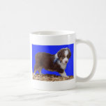 Röd Tri Aussie valp Kaffe Muggar