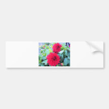röda blommor bildekal