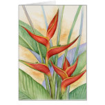 Röda Heliconia tropiska blommor som målar - som är Kort