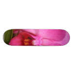Röda Porchid Skate Board