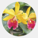 Röda röda och gula cattleyaorchidblommor rund klistermärke