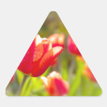Röda tulpan triangle sticker