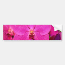 Röda Vanda blommor Bildekaler