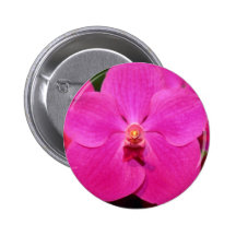 Röda Vanda blommor Knapp